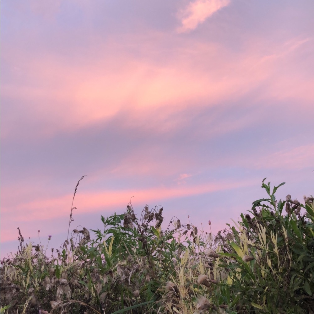 Meet your Posher, Tarra